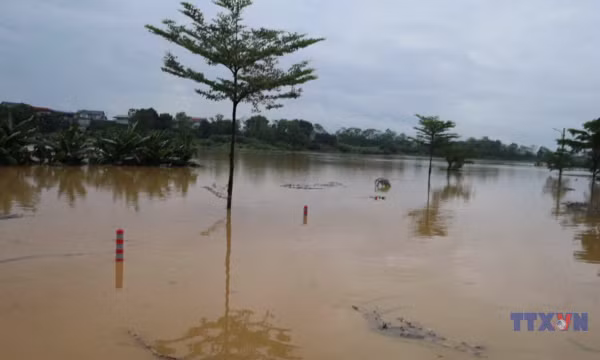 Hà Nội báo động lũ trên nhiều sông