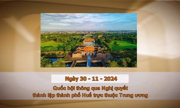 Khoảnh khắc & sự kiện ngày 30/11