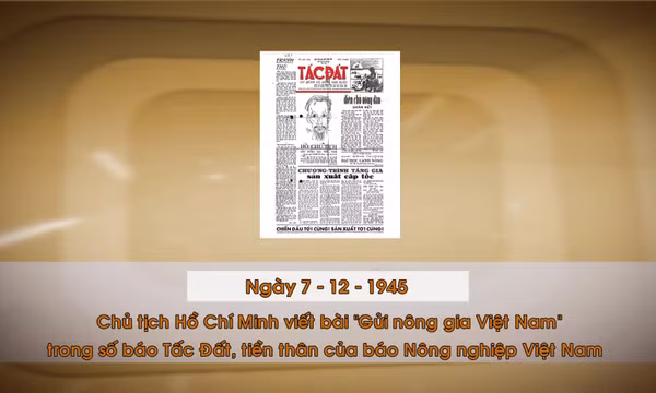 Khoảnh khắc & sự kiện ngày 7/12