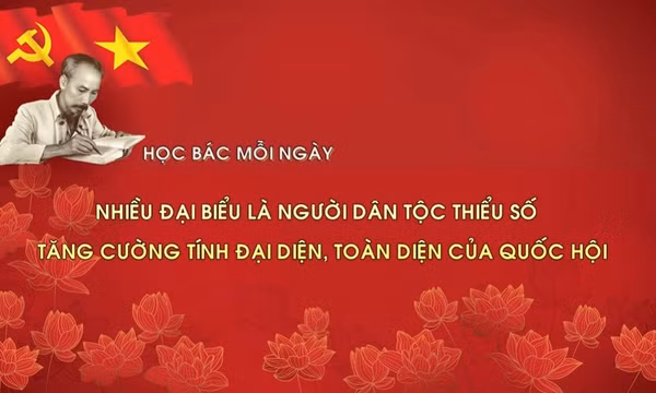 Học Bác mỗi ngày: Nhiều đại biểu là người dân tộc thiểu số - tăng cường tính đại diện, toàn diện của Quốc hội