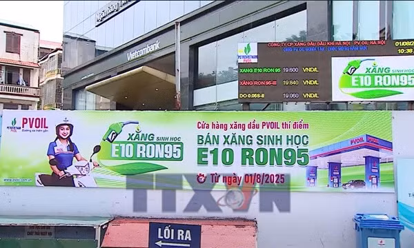 Giám sát, kiểm tra triển khai xăng sinh học E10