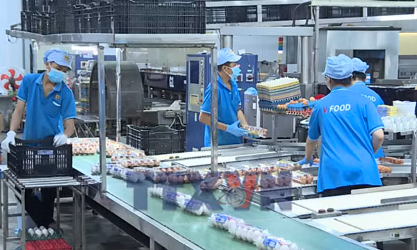 Doanh nghiệp tiết giảm chi phí, giữ nhịp thị trường