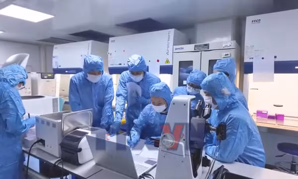 NQ 57- Bài toán đưa tế bào gốc trung mô vào điều trị lâm sàng
