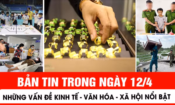 Bản tin trong nước tổng hợp ngày 12/4/2026