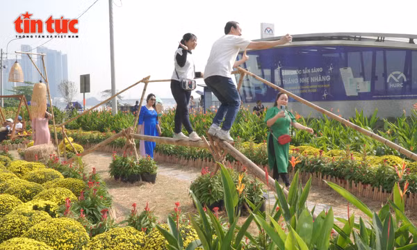 Vườn hoa Xuân ven ga Ba Son khoe sắc thu hút du khách