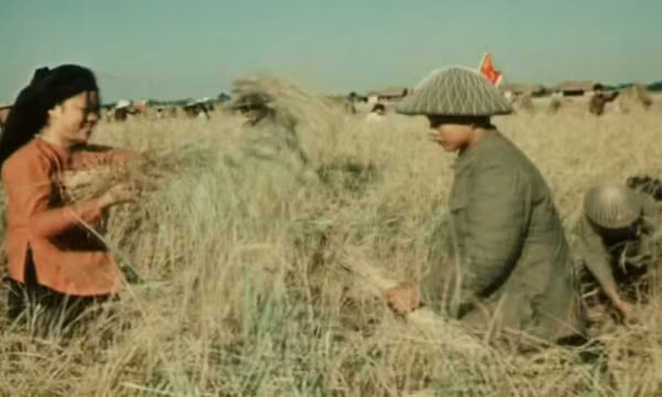 Thông điệp lịch sử: Bộ đội cụ Hồ - biểu tượng văn hóa cao đẹp của quân đội nhân dân Việt Nam