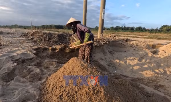 Nông dân Gò Nổi trước nỗi lo mất mùa vụ Đông Xuân