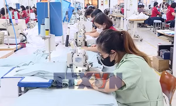 Ngành dệt may nhiều thay đổi và kỳ vọng