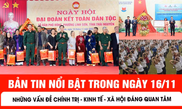 Bản tin trong nước ngày 16/11