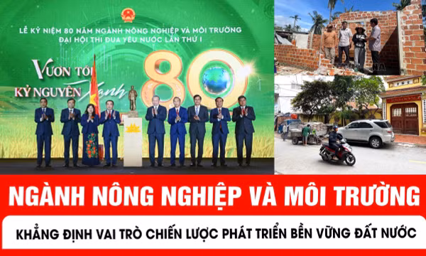 Bản tin tối 12/11 của báo Tin tức và Dân tộc có những bản tin chính sau đây.
