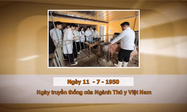 Khoảnh khắc & sự kiện ngày 11/7