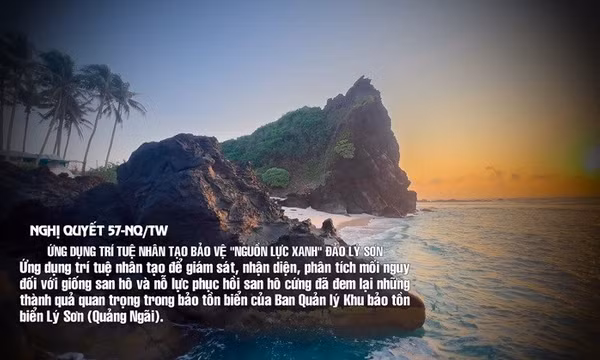Nghị quyết 57-NQ/TW: Ứng dụng trí tuệ nhân tạo bảo vệ 'Nguồn lực xanh' tại đảo Lý Sơn