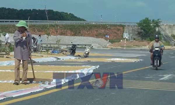 Nguy cơ mất an toàn giao thông do phơi lúa trên đường