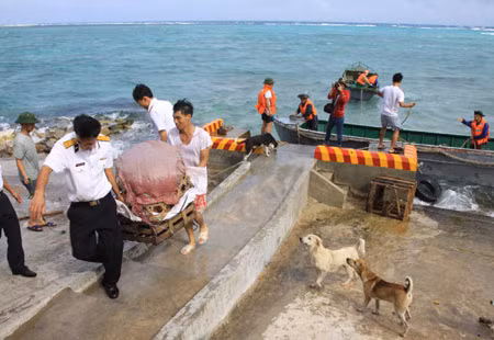Mùa Xuân đã đến với Trường Sa lớn ảnh 1