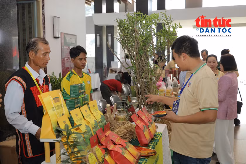 Nâng giá trị tài nguyên bản địa, tạo sinh kế bền vững