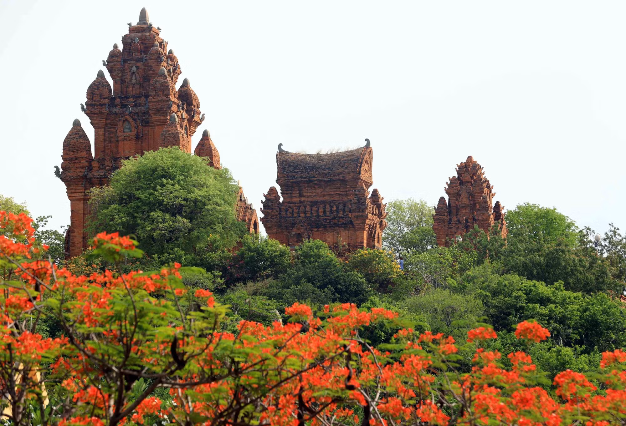 thap-300625.jpg