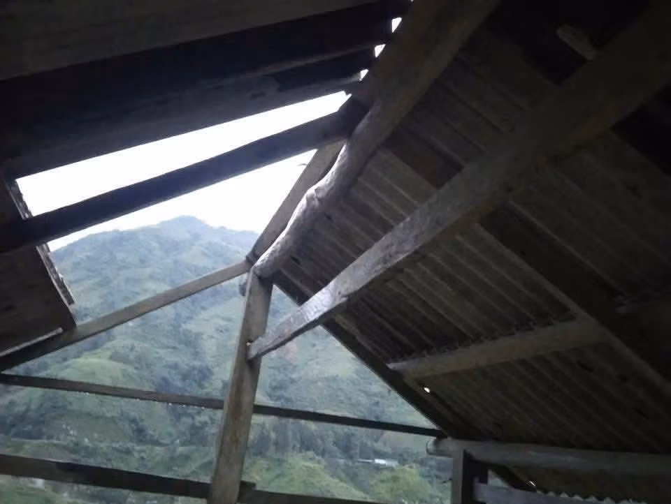 lao-cai-bao-290925.jpg