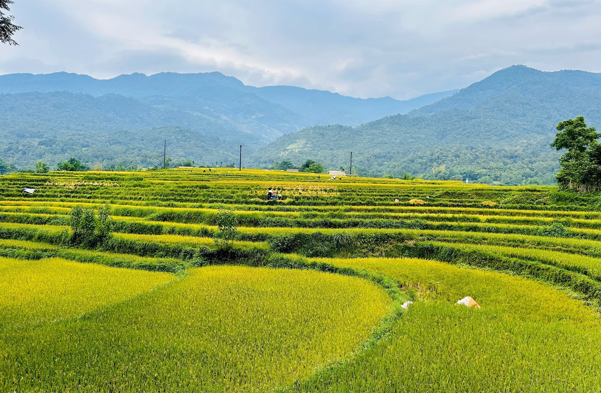 ha-giang-140625.jpg
