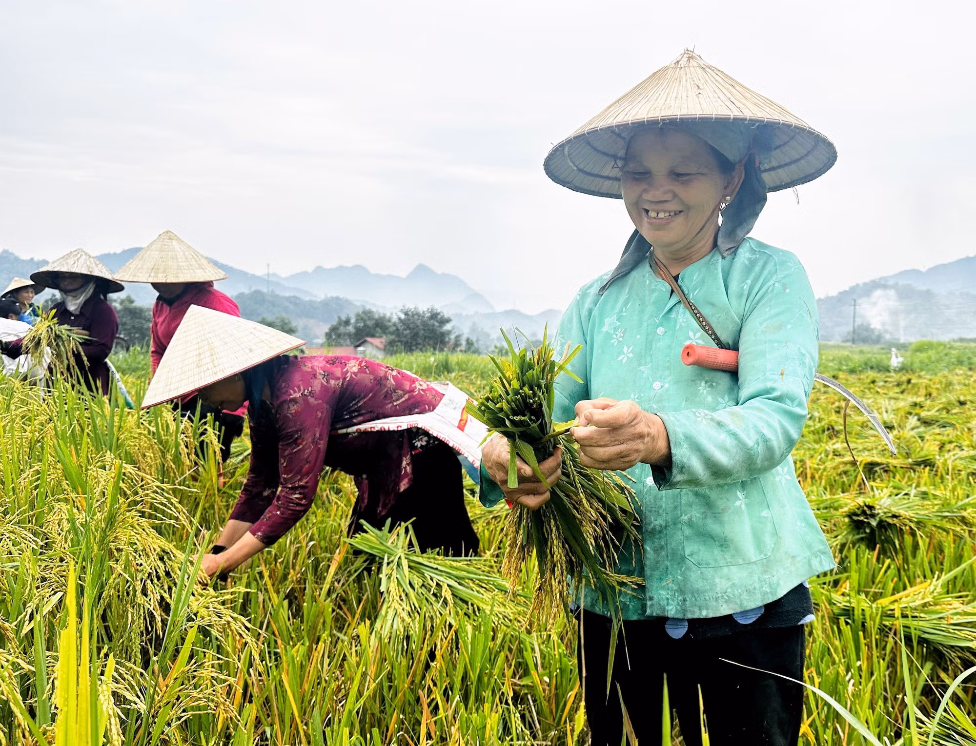 ha-giang2-140625.jpg