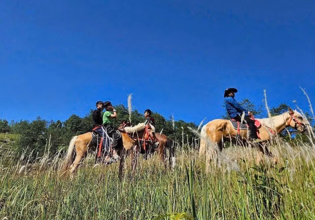 tuyen-quang3-020126.jpg