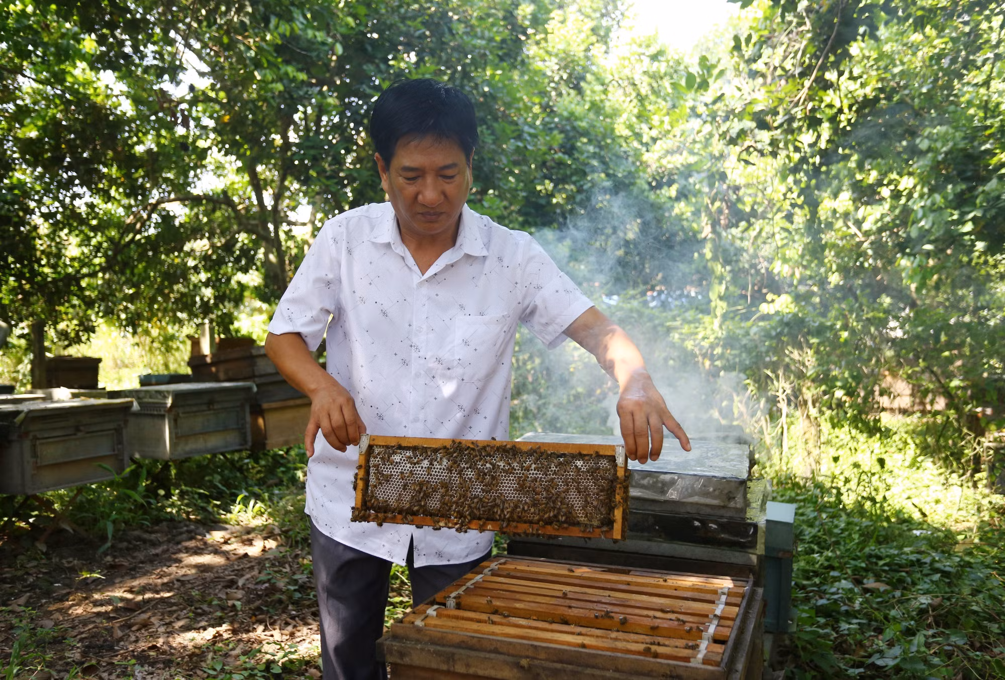 mat-ong2-131025.jpg