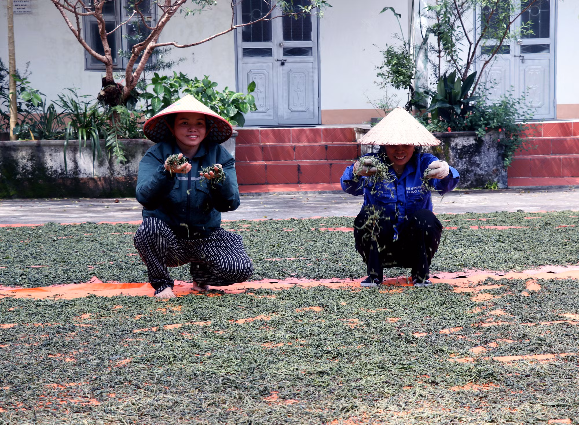 cao-bo3-120826.jpg