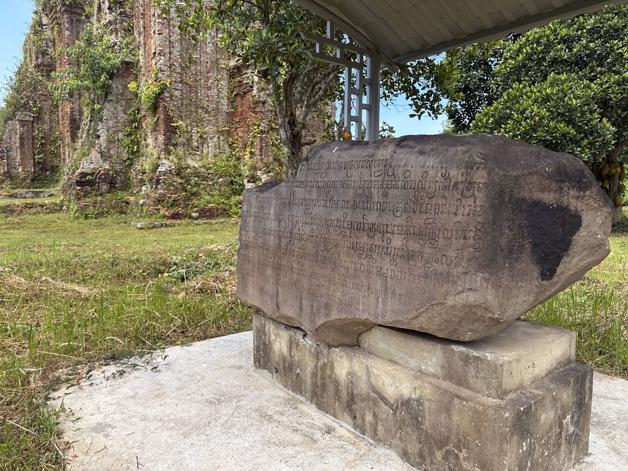 thap-cham7-290725.jpg