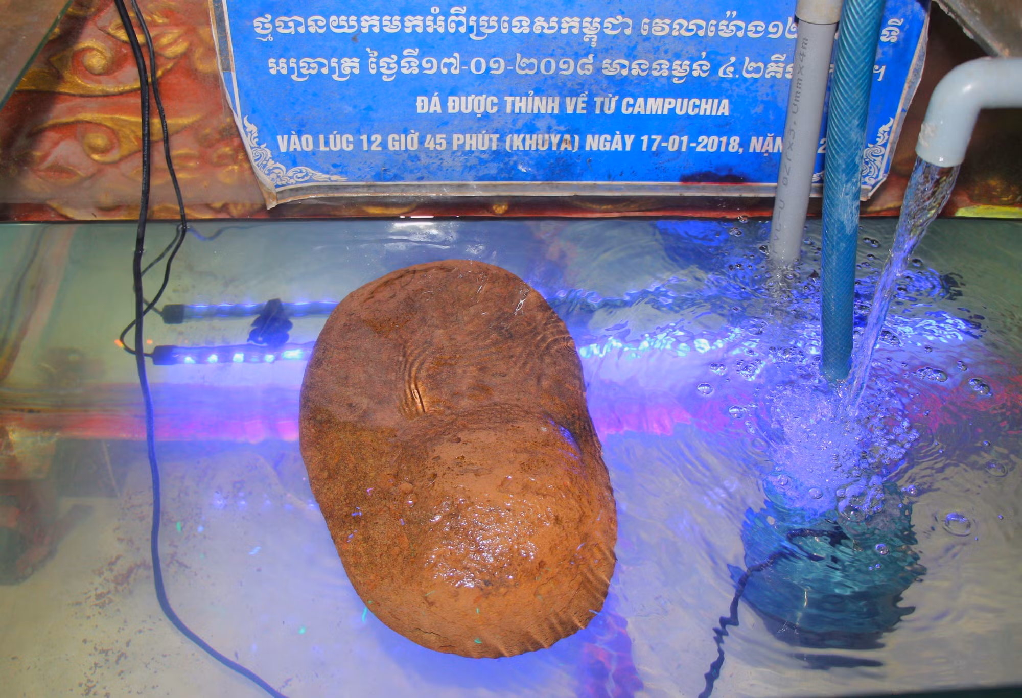 chua9-261025.jpg
