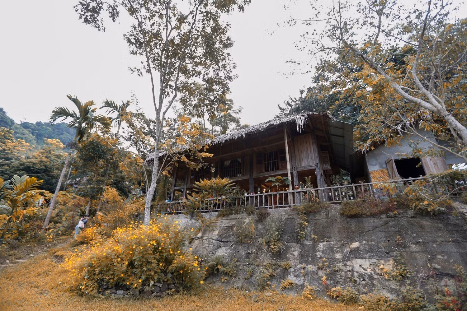hoa-binh2-260525.jpg