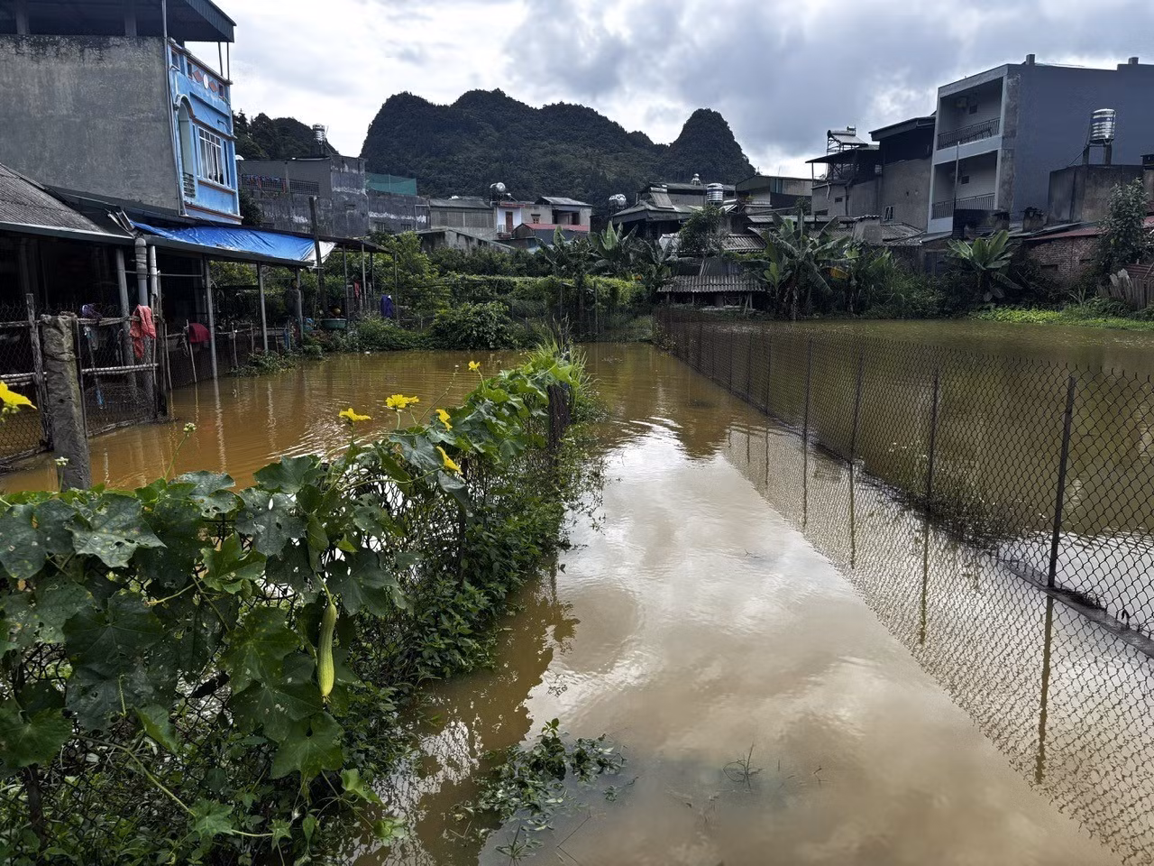 lao-cai3-090726.jpg