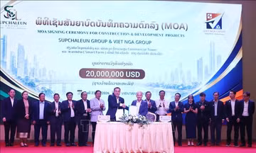 Thúc đẩy hợp tác nông nghiệp Việt Nam - Lào: Góc nhìn từ người trong cuộc