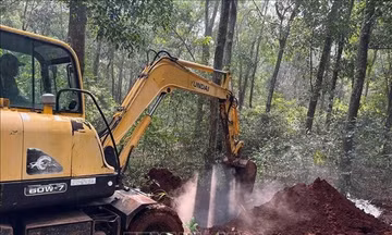 Khoanh vùng xử lý ổ dịch tả lợn châu Phi tại xã Xuân Sơn