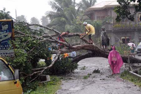 Bão Bopha tàn phá Philippines, 238 người chết ảnh 3