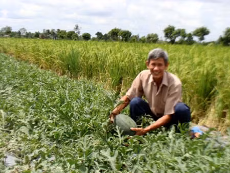 Dự án “treo” - Bài 5: Long An thu hồi các dự án “treo” để “chờ” nhà đầu tư ảnh 2
