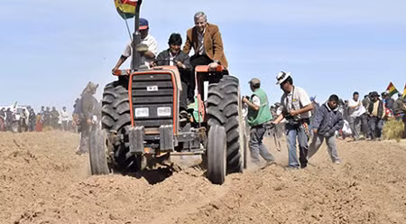 Tổng thống Bolivia cày tịch điền trồng 'hạt vàng' ảnh 1