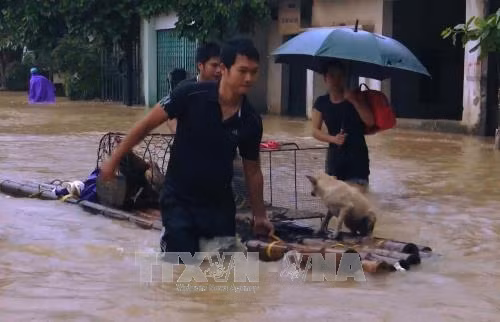 Bộ đội giúp dân 'chạy lợn' trong mưa lũ tại Thanh Hóa ảnh 6