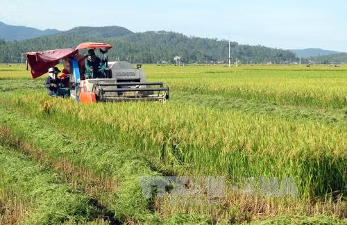 Nông dân giàu là gốc để phát triển nông thôn mới bền vững ảnh 2