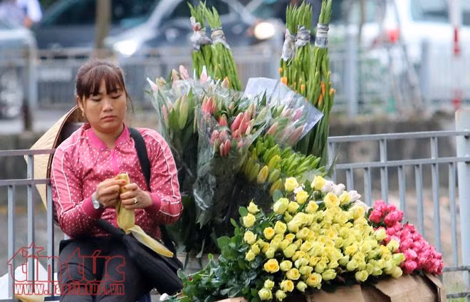 Hà Nội đẹp nao lòng trong gió lạnh ảnh 5