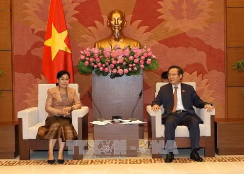 Phó Chủ tịch Quốc hội Phùng Quốc Hiển tiếp Chủ tịch Kiểm toán Nhà nước Lào ảnh 1
