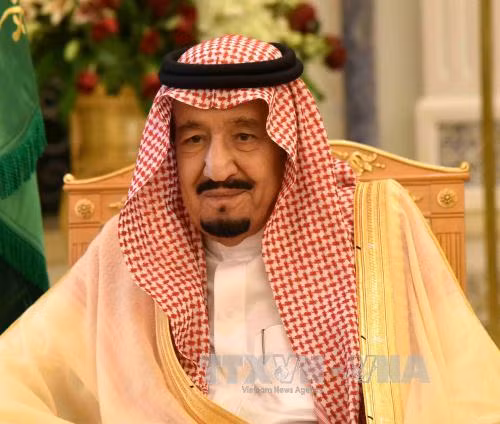 Quốc vương Saudi Arabia phế thái tử do khác biệt trong quan hệ với Mỹ ảnh 1