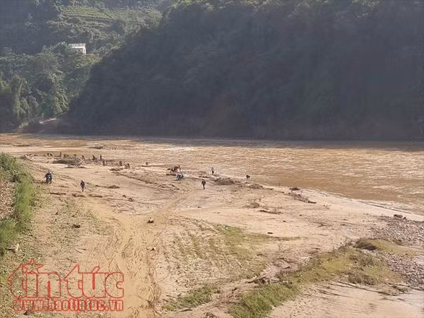 TTXVN nỗ lực tìm kiếm phóng viên bị lũ cuốn ảnh 7