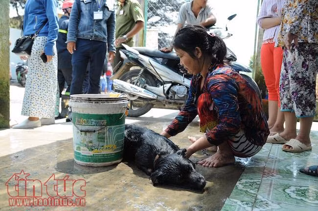Bốn người bị thương, khu dân cư di tản khẩn cấp vì rò rỉ khí amoniac ảnh 4