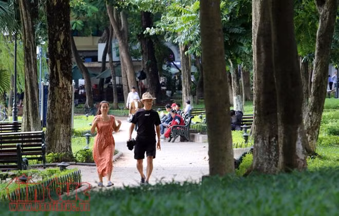 Hà Nội đẹp nao lòng trong gió lạnh ảnh 8