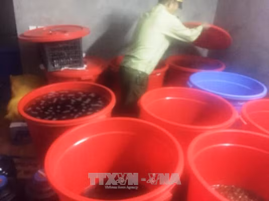 Quảng Ninh liên tiếp thu giữ pháo nổ, hàng hóa không rõ nguồn gốc ảnh 2
