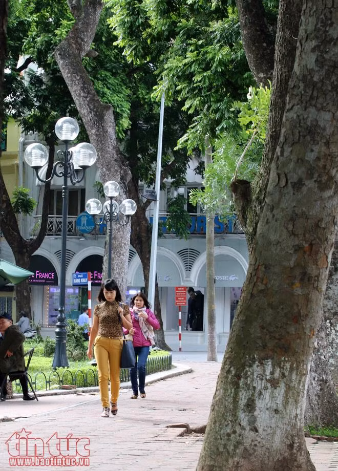 Hà Nội đẹp nao lòng trong gió lạnh ảnh 13
