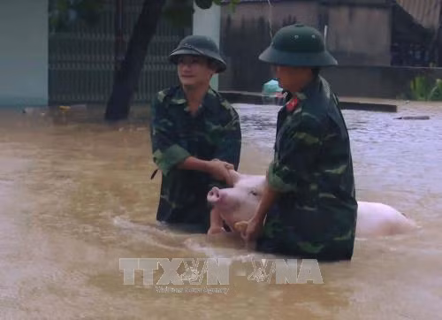 Bộ đội giúp dân 'chạy lợn' trong mưa lũ tại Thanh Hóa ảnh 2