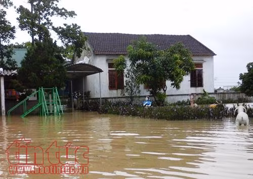 Hà Tĩnh: Mưa trắng trời, nhiều địa phương bị nước lũ chia cắt ảnh 5