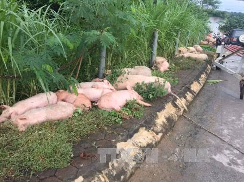 Cận cảnh mưa lũ gây thiệt hại nặng nề ở Bắc bộ và Bắc Trung bộ ảnh 19