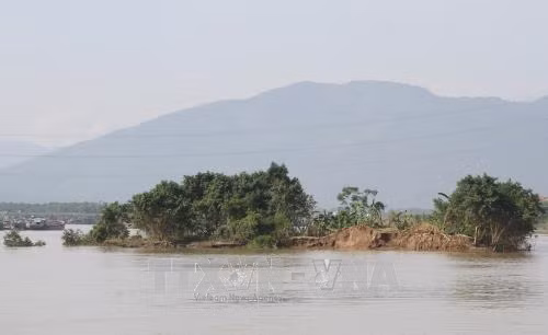 Sóng ngầm sông Lô: Kỳ 1: Tàn phá đất nông nghiệp, đe dọa sạt lở đê kè ảnh 2