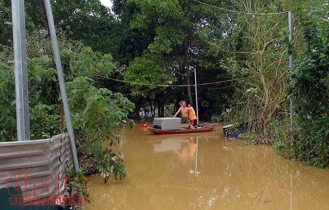Nước dâng cao, bãi giữa sông Hồng chìm trong nước ảnh 4